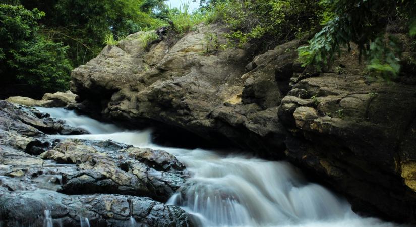 Tim Mariann kisprózája