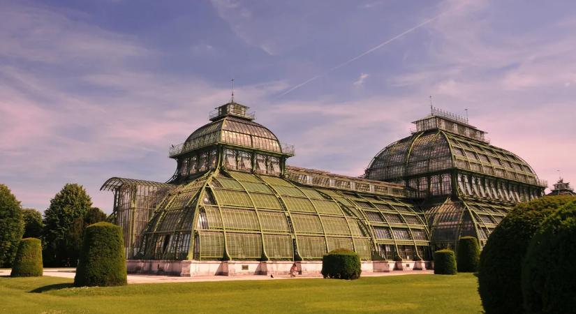 Fegyveres támadás a bécsi állatkertben – kívülről csaptak le