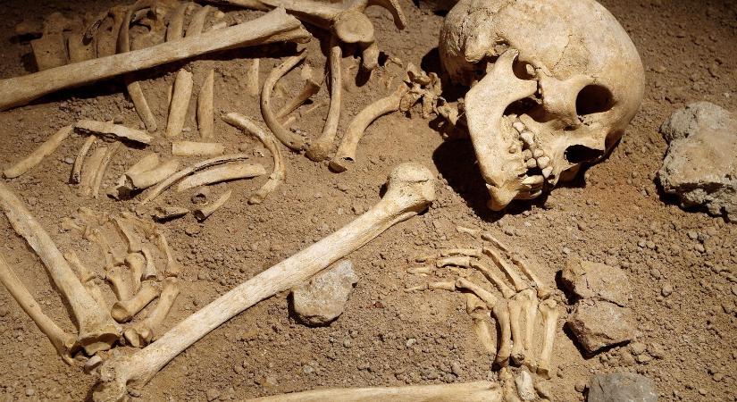 Gyomorforgató hirdetésre bukkantak a magyar nyomozók, emberi testrészt árult a fővárosi férfi