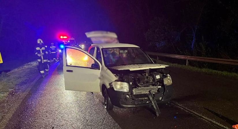 Ritka fordulat a 442-esen – élve vitte el a vadász a Martfűnél elgázolt őzet