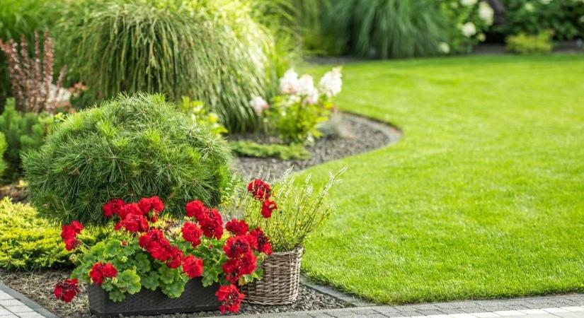 Milyen kaspót válasszunk idén? Mutatjuk a 2026-os trendeket!