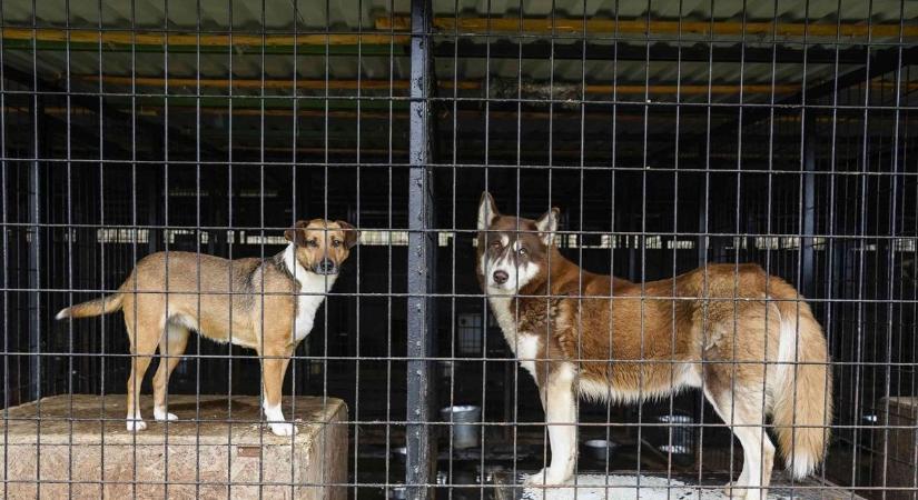 Több tízmilliós fejlesztés Ózdon: megújul az állategészségügyi telep