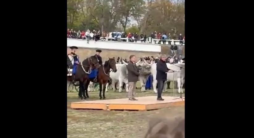 Bodó Sándor akadozva szólt a közönséghez Szent Dömötör-napi Behajtási Ünnepen – videó