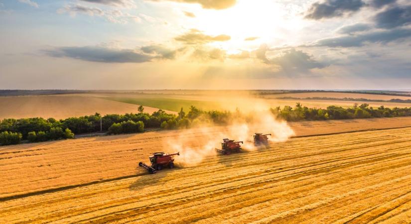 Amerika ilyen kevés gabonát több mint egy évszázada termelt