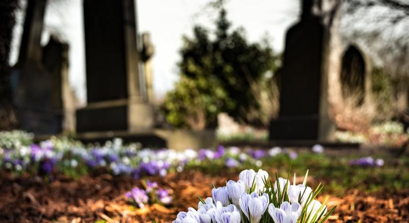 Súlyos tévhit terjed az öröklés kapcsán, családi konfliktust okozhat a hagyatéki eljáráson