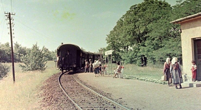 Retró fotókon zakatolhatunk vissza a Bakonyvasút múltjába