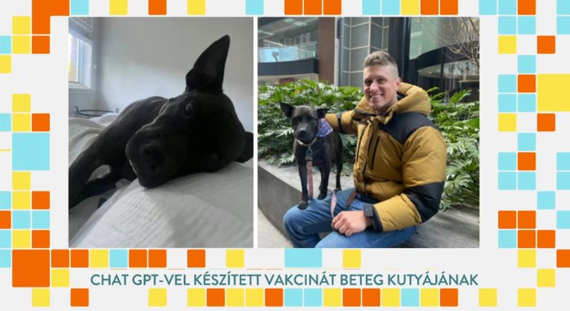 ChatGPT-vel „vakcinát” készített a kutyája rákja ellen – áttörés vagy határátlépés?