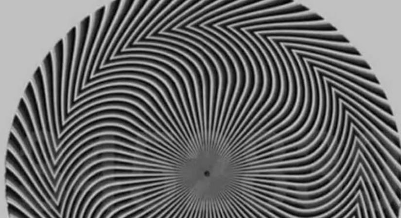 Optikai illúzió: kiemelkedően magas az IQ-ja, ha pontosan megmondja, milyen szám van az ábrán!