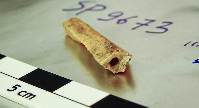 Két rokon neandervölgyi tízezer év különbséggel élt ugyanabban az altáji barlangban