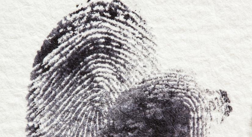 Befejeződött a nyomozás a budapesti diszkógyilkosság ügyében