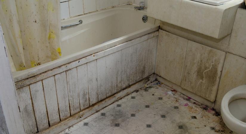 Undorító titok derült ki egy nőről, a vécéje rejtette élete legnagyobb szégyenét