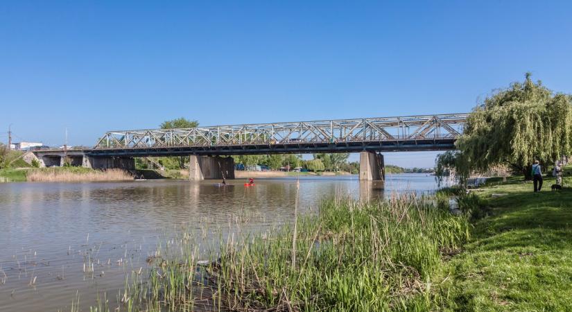 Cápától tartottak a csepeliek, fény derült a hatalmas halszörny titkára