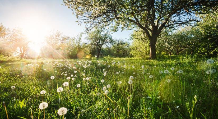 Szél, eső, napsütés – mindenből jut az időjárásból