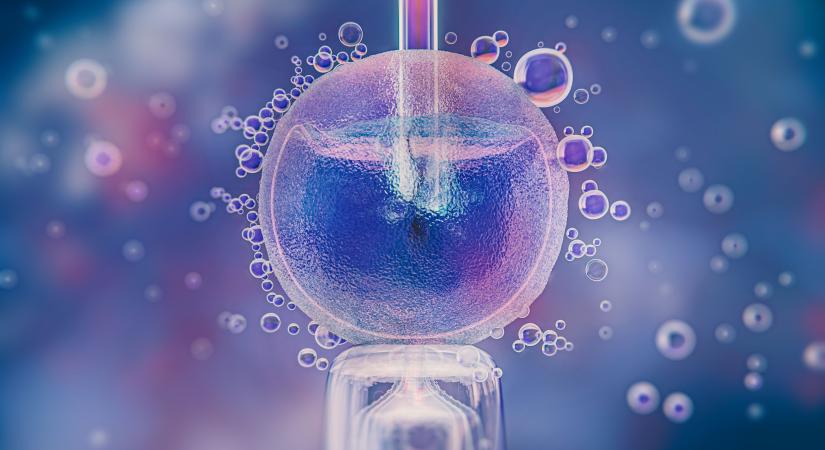 Új központjuk lehet a meddő pároknak Debrecenben