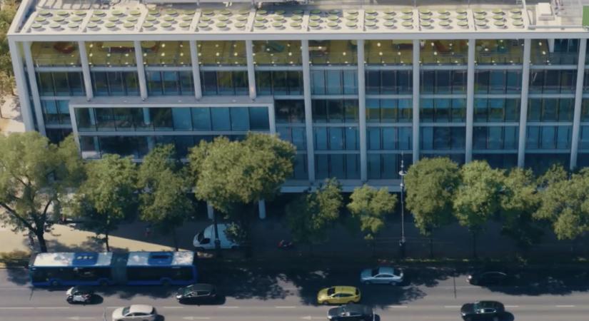 Erősíti vezetői csapatát a WING: áprilistól dr. Walter Katalin a magyarországi vezérigazgató