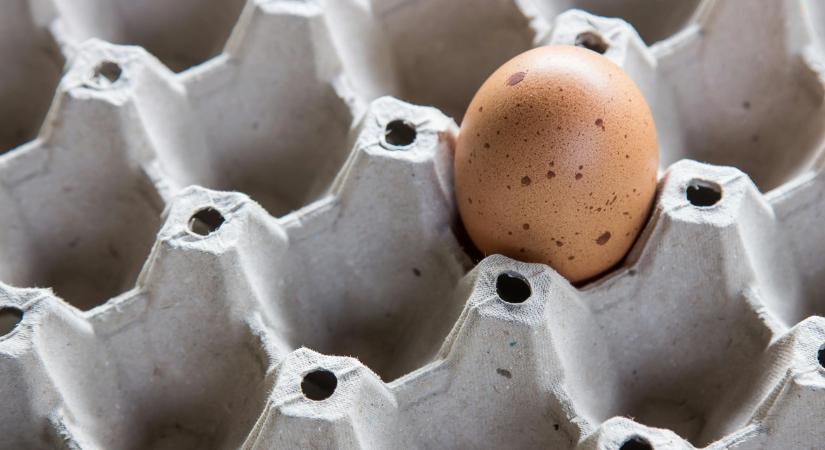 Elemző: csak mérsékelten drágul a tojás húsvétkor