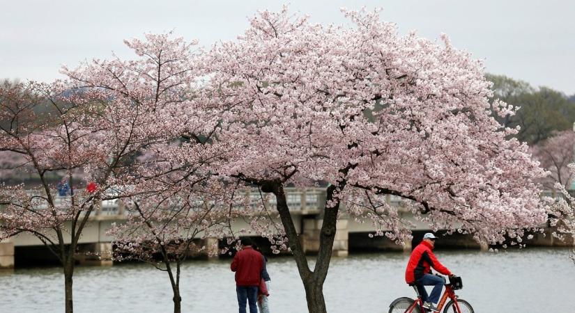 Csütörtökön 20 fok várható, de továbbra is felhős, szeles időre kell számítani