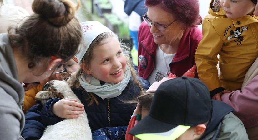 Tojáslikőr és csokitojás: megható húsvéti program Bonyhádon (galéria)