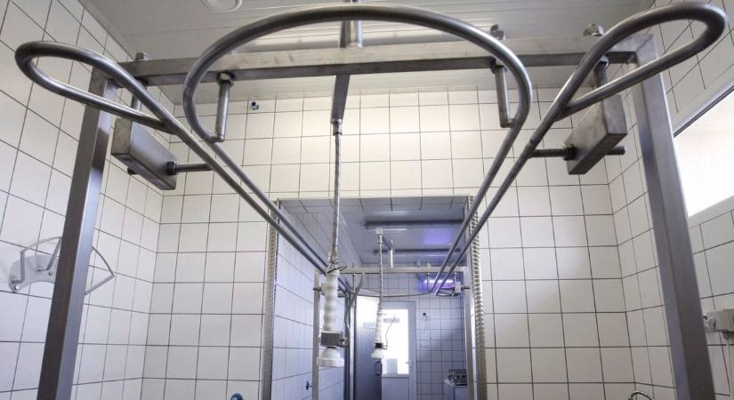 Horrorüzemre vágta rá a lakatot a hatóság Hajdú-Biharban – még olvasni is borzalmas, mi ment a színfalak mögött!