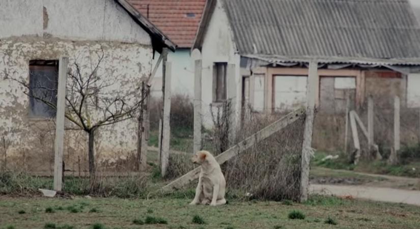 Közeledik a húsvét