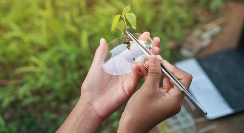 Miért félnek a gazdák ettől az új technológiától?