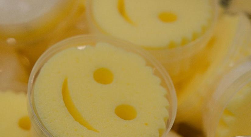 A Scrub Daddy a kormány 105. stratégiai partnere