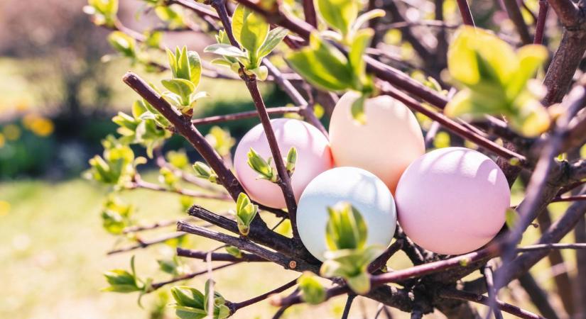 Húsvéti időjárás: ha szabadtéri locsolkodást tervezel, akkor jó hírünk van!