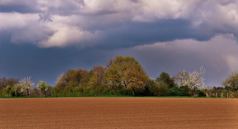 Időjárás: Ne hagyd kint az érzékeny palántákat, lesz, ahol éjjel fagyhat