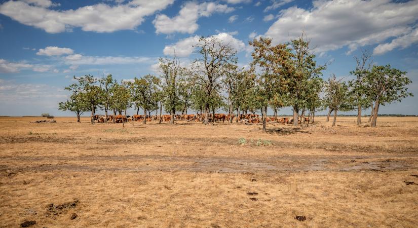 Magyarország kezdeményezésére újabb uniós forrás segíti a gazdálkodókat