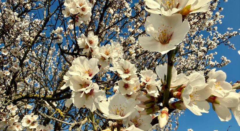 Fátyol- és gomolyfelhők mellett szeles, helyenként záporos idő várható