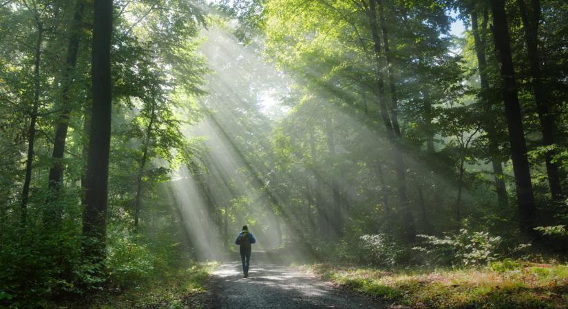 Átalakulás a népszerű magyar túraútvonalnál: imádni fogják a kirándulók