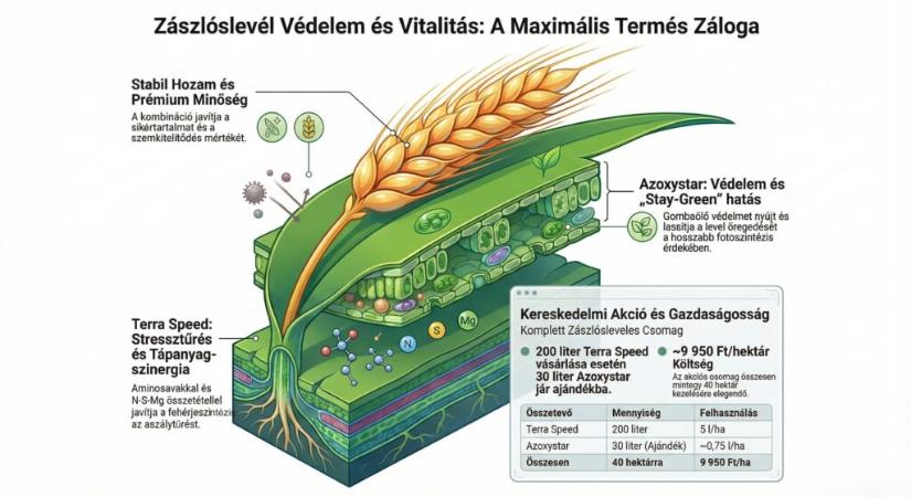 Zászlóslevélben dől el a termés – most dupla hatással dolgozhat!