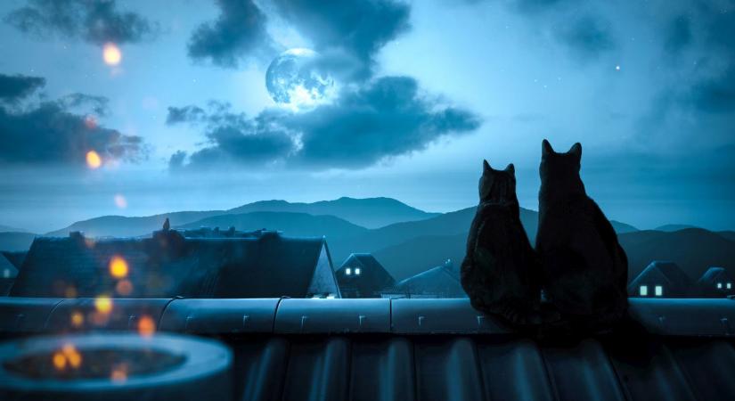 Ha most minden kapcsolatod érzékenyebbnek tűnik, azt is megmagyarázhatja a Mérleg telihold