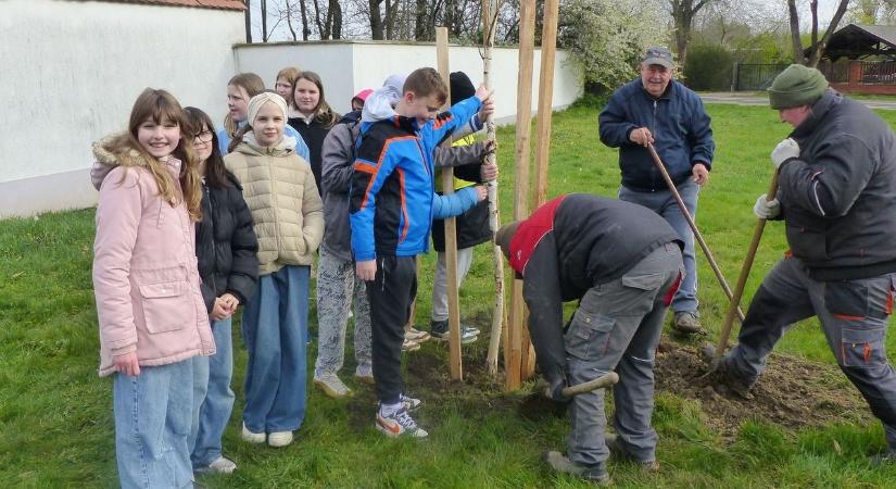 Országfásítási Program: Levélen is elültették a fákat