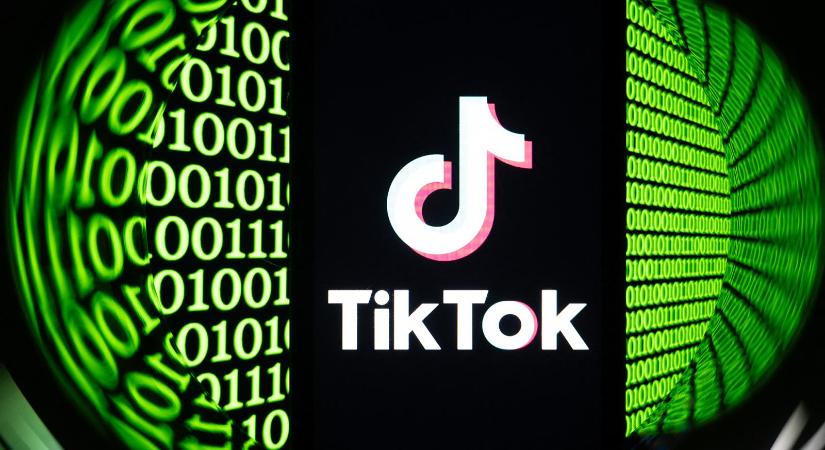 Több száz, a magyar választásokat célzó fiókot törölt a TikTok