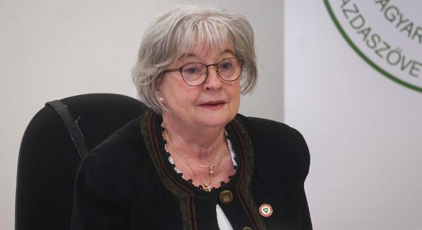 Védőnők segítik a családokat a tudatos élelmiszer-választásban