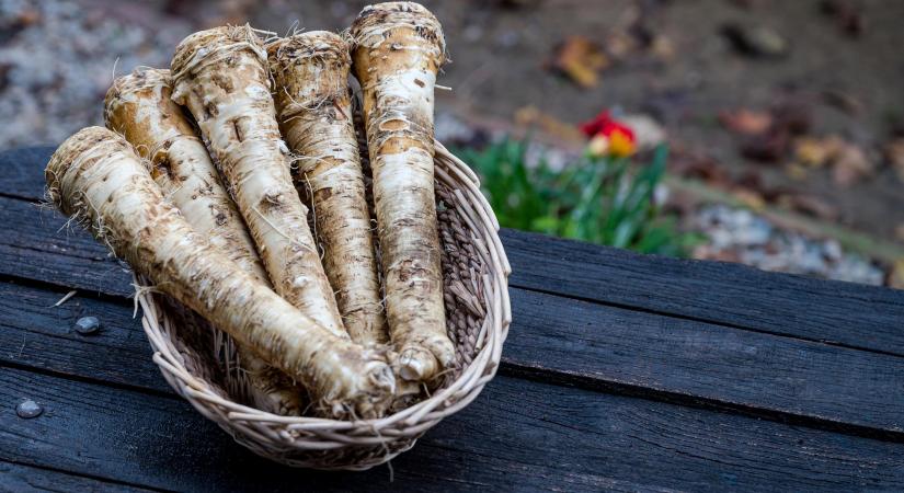 Továbbra is a kiváló minőségű magyar tormát keresi a piac