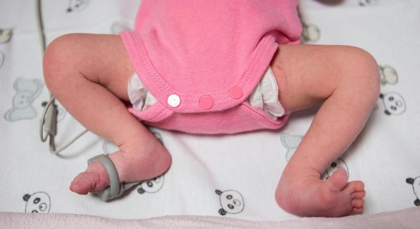 Ránéztek a születési adatokra, amit találtak, az egészen megdöbbentő