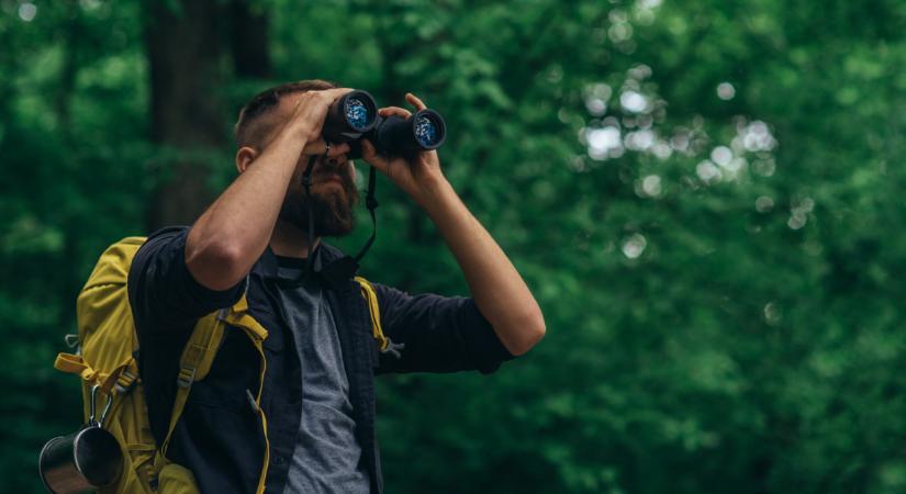 A lakosság segítségét kérik: komoly akció indul most Magyarországon