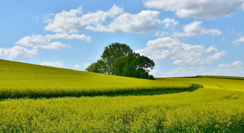 Időjárás: Berobban a 25 fok, érkezik az igazi tavasz