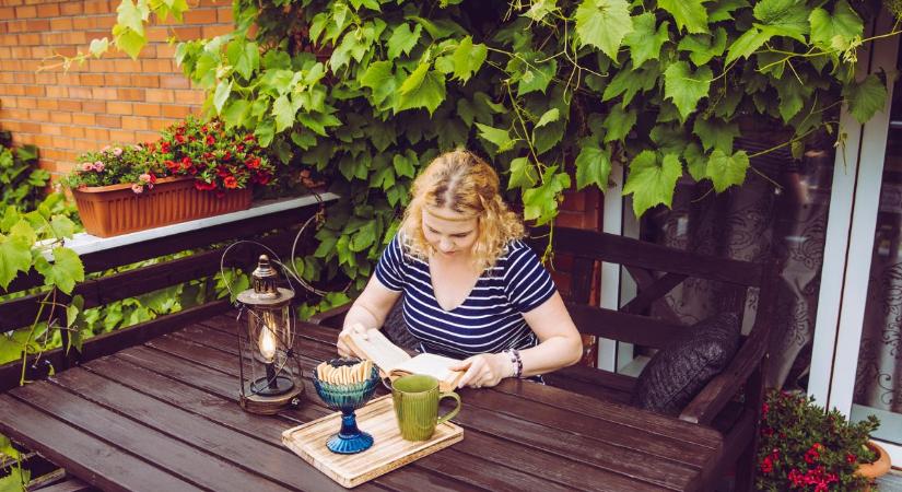 Luxus hangulat szinte fillérekből: 5 gyönyörű futónövény, ami feldobja az erkélyed