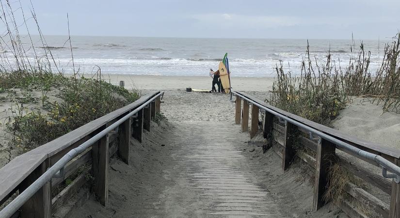 Több ezer juhot hagytak hátra egy lakatlan szigeten, ötven évvel később megdöbbentő dologra bukkantak a tudósok