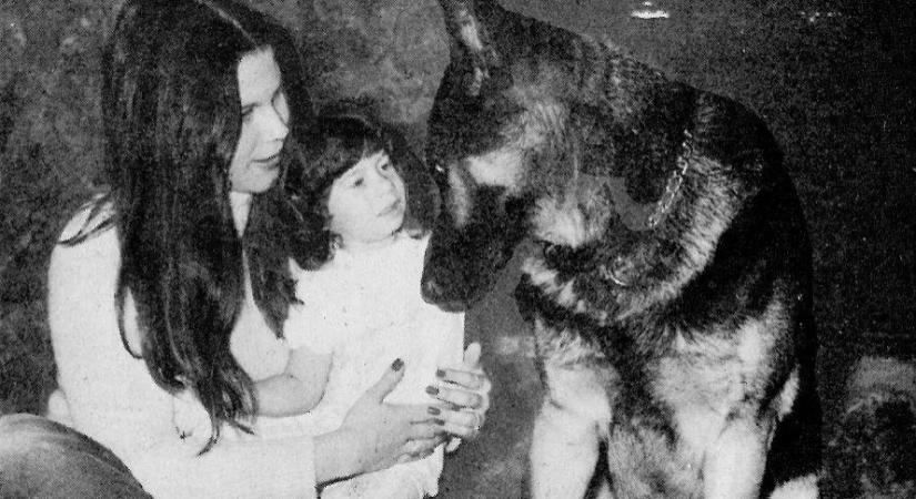 Egy gyilkosságért elítélt amerikai a 44 éve halott kutyájára hivatkozva bizonyítaná be, hogy ártatlan