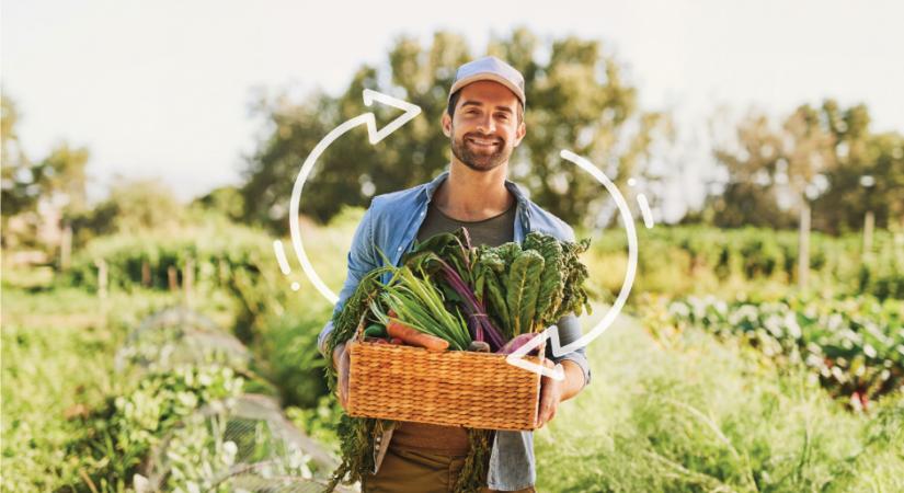 A legtöbb szempontból magyarok a kiskereskedelem óriásai
