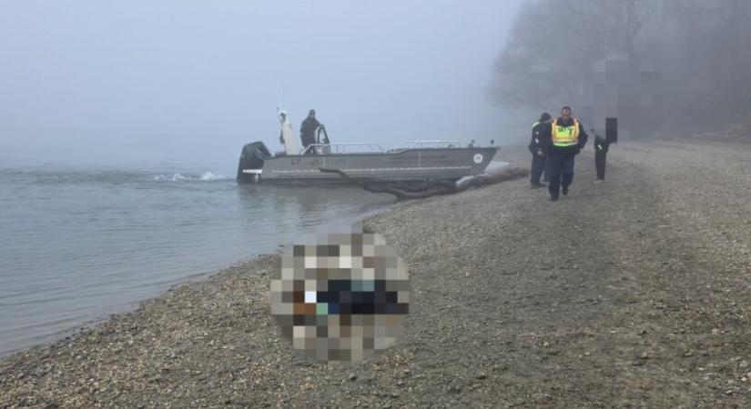 Borbás Marcsi kollégája holtan került elő