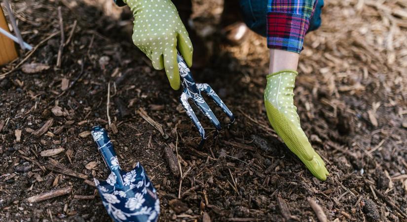 Nem maradnak meg virágok a kertben? Így javíthat a talaj minőségén