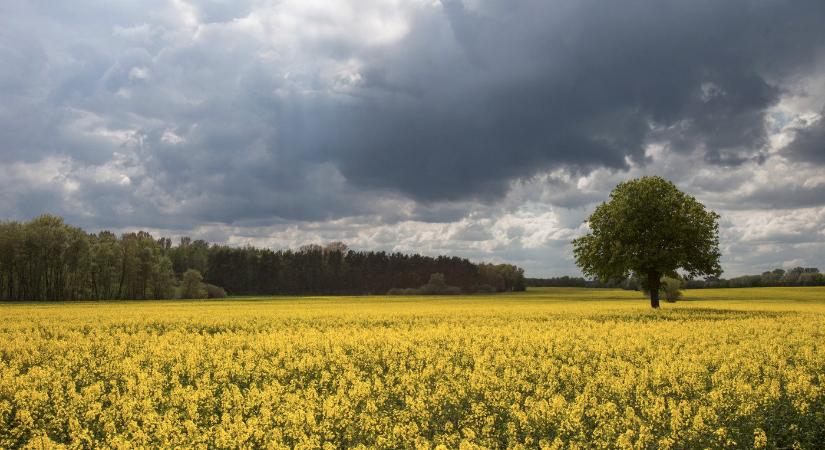 Pontosan tudjuk, ilyen idő jön áprilisban, kőkemény lesz a fordulat