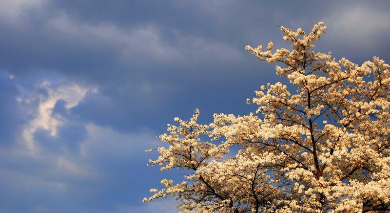 Fokozatos javulás várható időjárásunkban