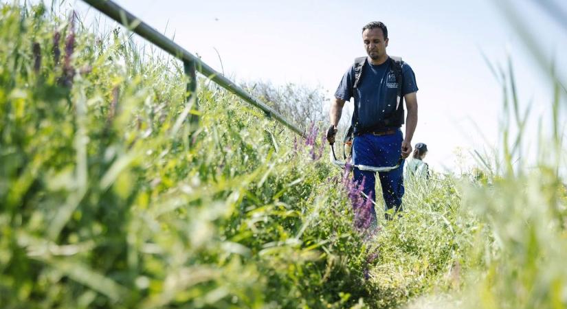 Kiderült, mire költi a pénzt a jászkunsági falu