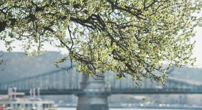 Régóta vártak erre a magyarok – most végre megkapták